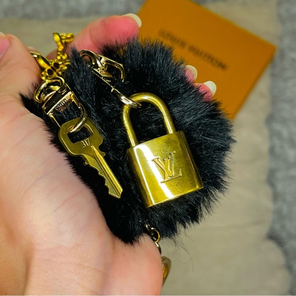 LOUIS VUITTON Lock and Key #317 - Picture 5 of 8